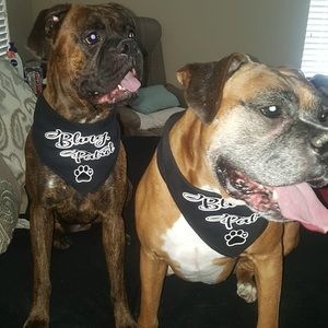 Meet your Posher, Olga